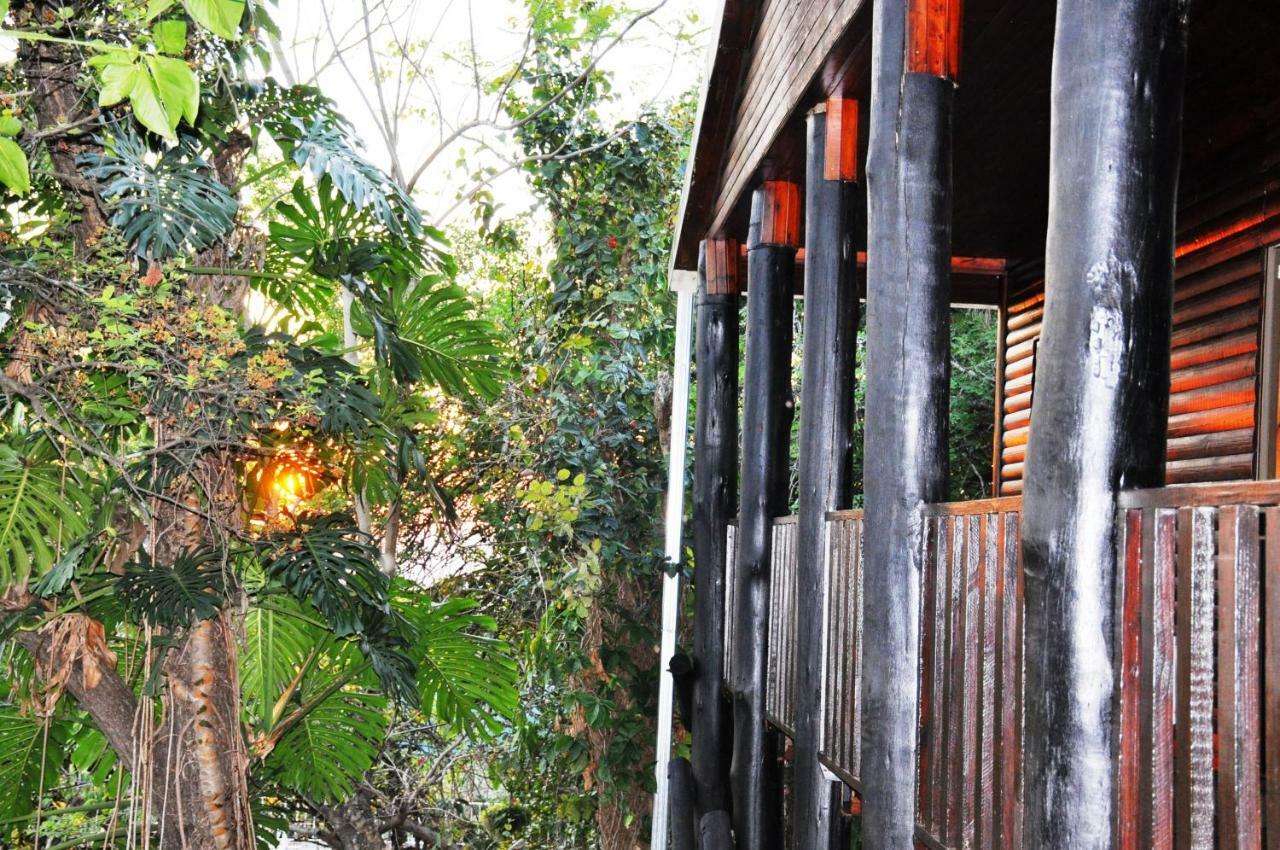 Viewpoint Lodge & Safari Tours Hazyview Zewnętrze zdjęcie