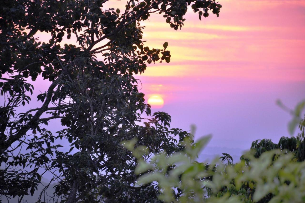 Viewpoint Lodge & Safari Tours Hazyview Zewnętrze zdjęcie